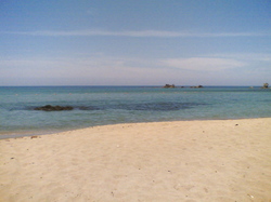 20070810.jpg