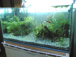 20071021.jpg