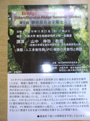 20071121.jpg