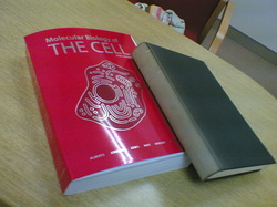 20080205.jpg