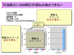 How to present.043.jpg