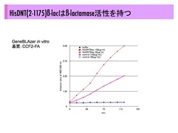 How to present.047-001.jpg