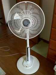 IMG_1011.jpeg