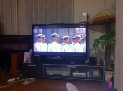 IMG_1227.png