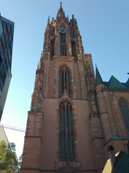IMG_1782.jpg