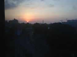 IMG_2213.jpg