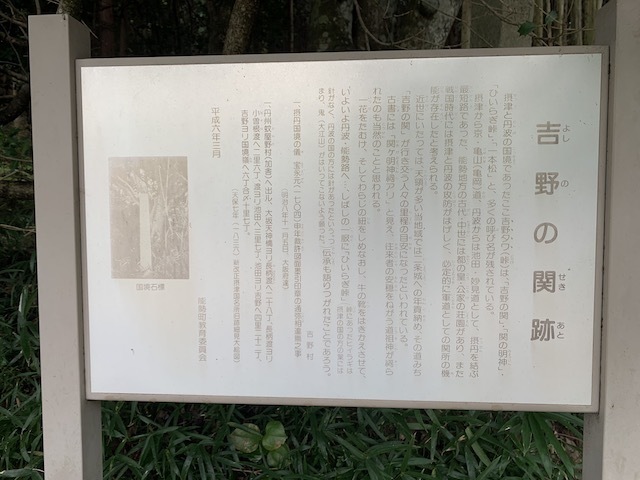 IMG_3519.jpeg