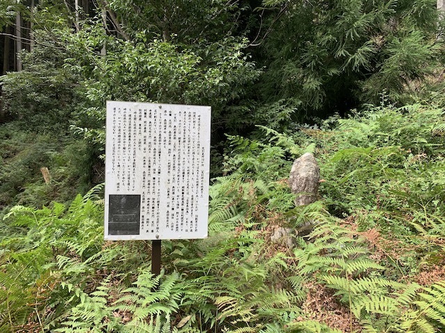 IMG_3520.jpeg