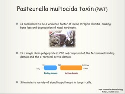 INRA-JSPS.004.jpg