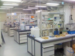 lab.jpg
